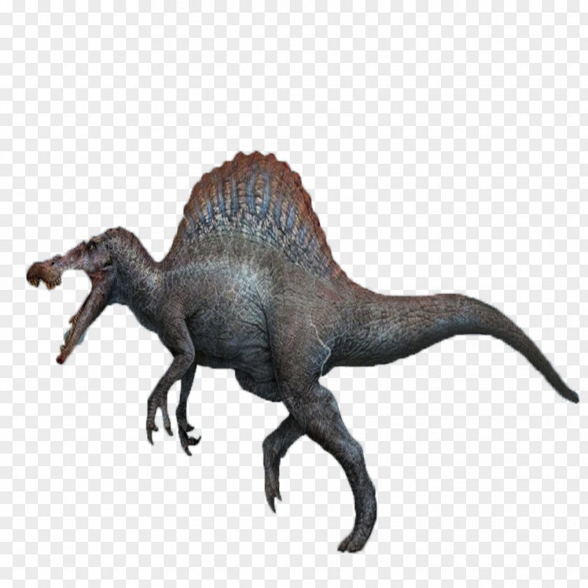 Jurassic Park Velociraptor Tyrannosaurus Spinosaurus PNG