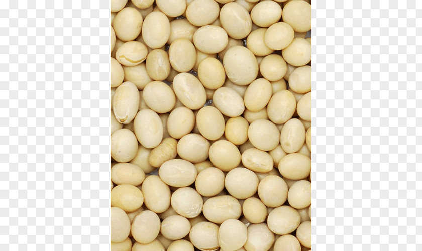 Soya Bean Soybean Glycine Soja Commodity Wholesale PNG
