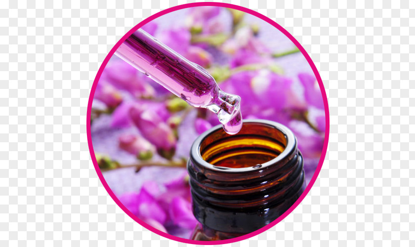 Stefania Bach Flower Remedies Naturopathy Alternative Health Services Therapy Psychosomatic Medicine PNG