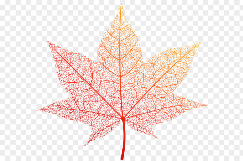 Autumn Clipart Leaf Color Clip Art PNG