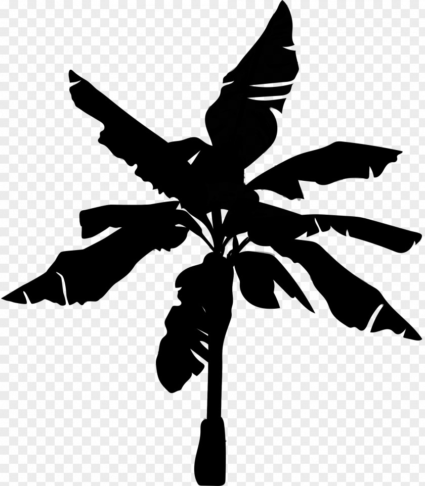 Clip Art Flower Plant Stem Leaf Black PNG