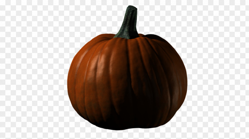 Design Winter Squash Cucurbita PNG