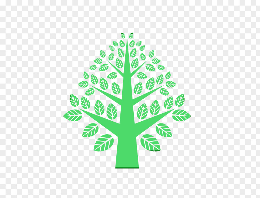 Pine Family Green Leaf Tree Plant Logo PNG