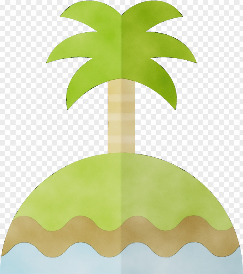 Plant Stem Arecales Palm Tree PNG