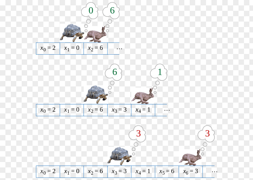 Turtle The Tortoise And Hare Cycle Detection Algorithm PNG