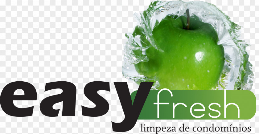 Fresh Theme Logo EasyFresh Business Projection Screens Caixa Econômica Federal Font PNG