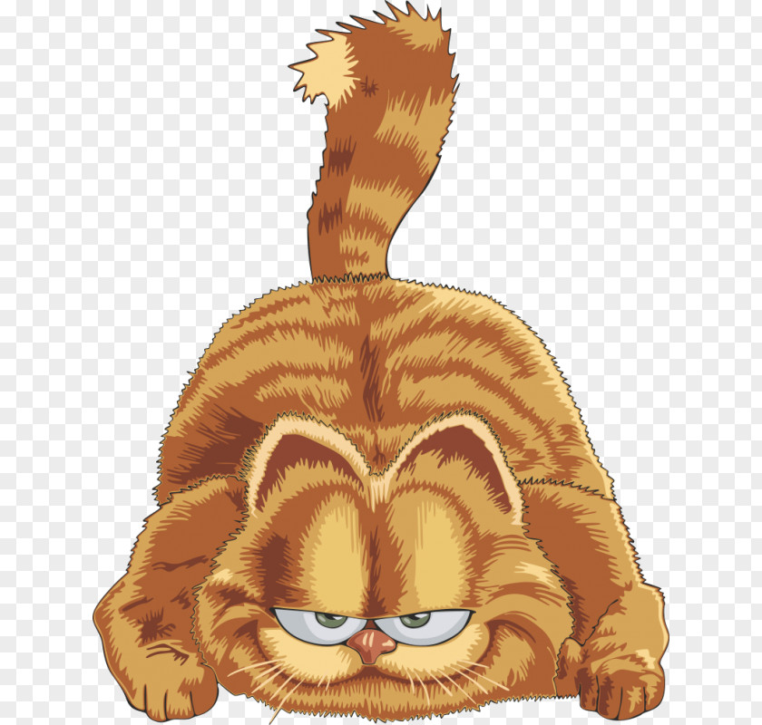 Garfield Kart Twitter Cat Clip Art Image Whiskers PNG