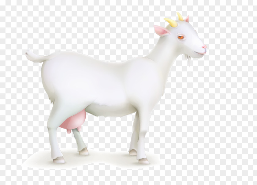 Goat Sheep Livestock PNG