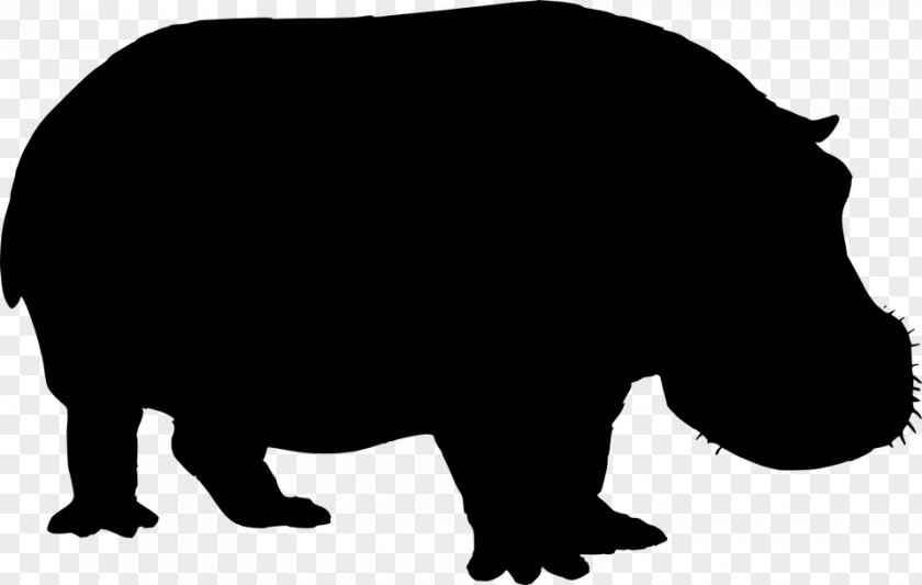 Hippopotamus Rhinoceros Clip Art PNG