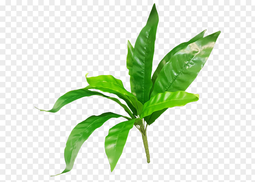 Leaf JMC Floral Artificial Flower Fern Plant Stem PNG