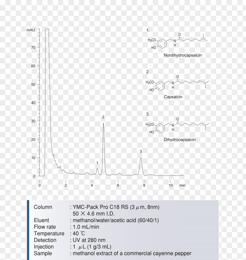 Line Document Angle PNG