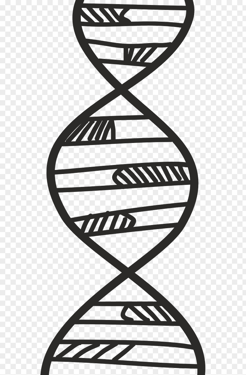 Science DNA Genetics Biology Biochemistry PNG