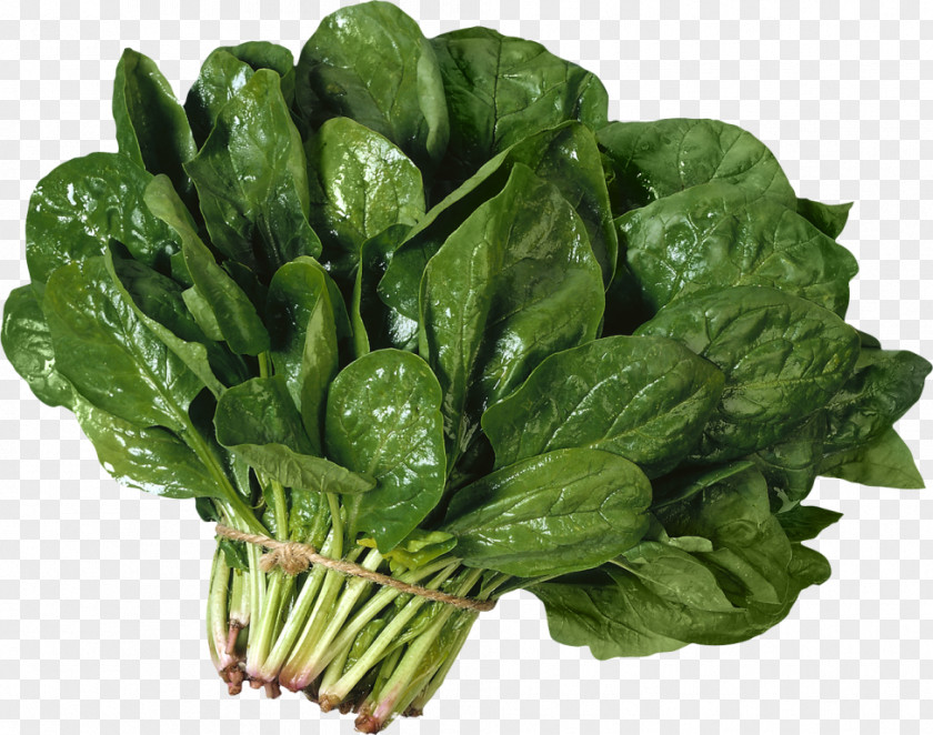 Spinach Vegetarian Cuisine Leaf Vegetable Salad PNG