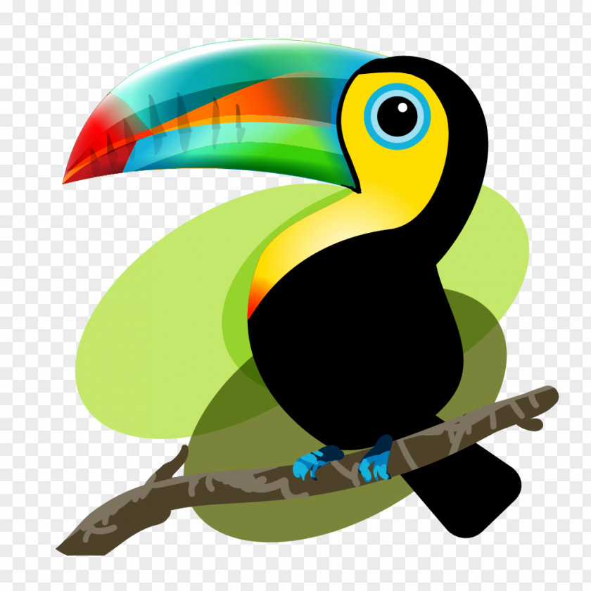 Toucan Iquitos Bird Baby Toucan: Mama And Papa Decide To Adopt Frog PNG