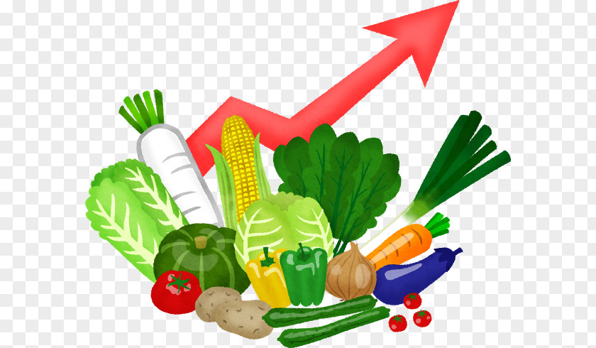 Vegetable Greens Food Vegetarian Cuisine Clip Art PNG