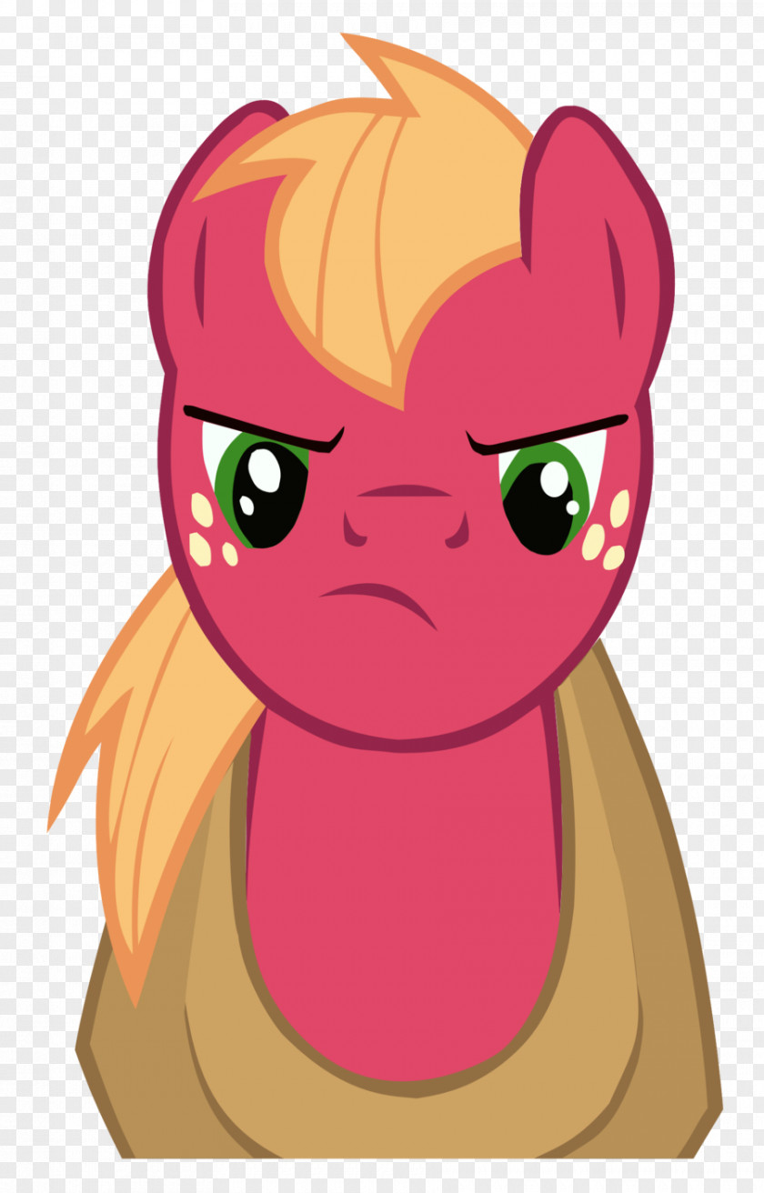 Big Mac McIntosh Fluttershy Applejack Twilight Sparkle Pony PNG