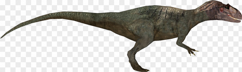 Dinosaur Gasosaurus Allosaurus Zoo Tycoon: Digs Ornitholestes Tycoon 2 PNG