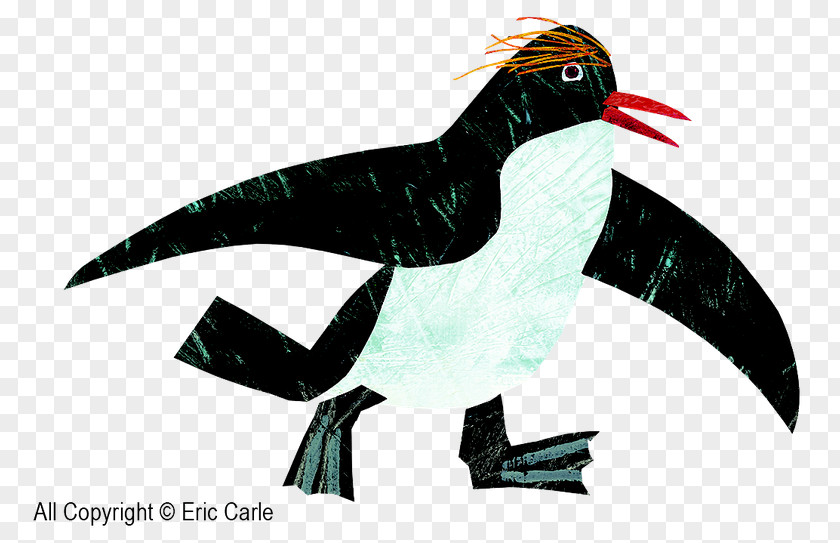 Piciformes Hornbill Polar Bear Cartoon PNG