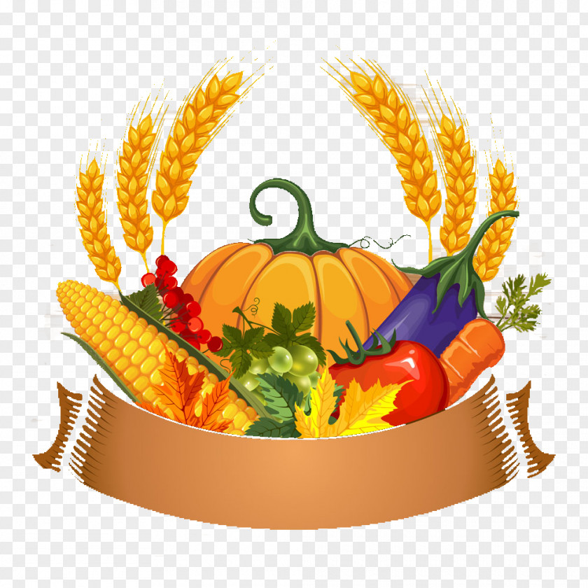 Thanksgiving Pumpkin Download PNG