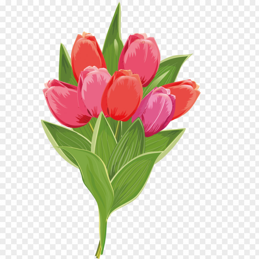 Tulip Flowers Stock Photography Pink Flower PNG