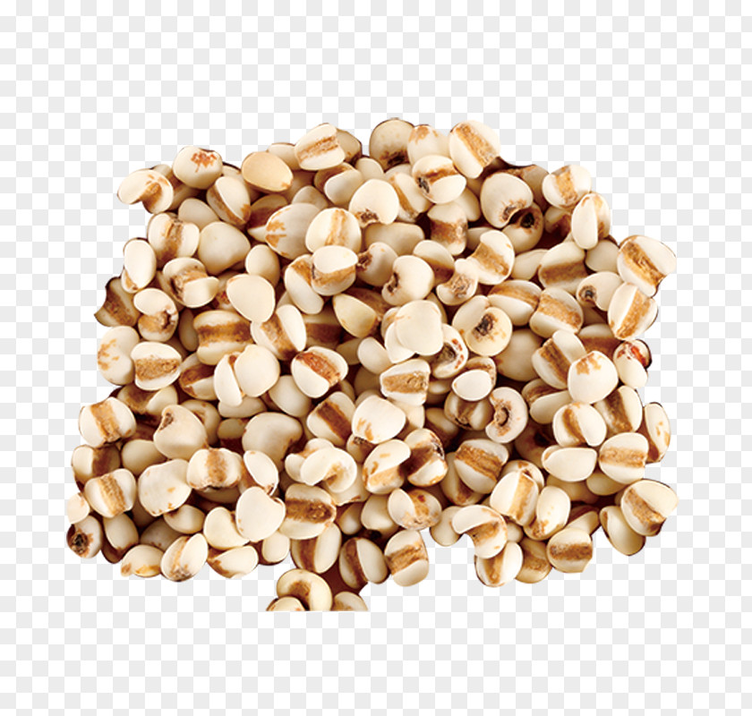 Barley Adlay Seed PNG