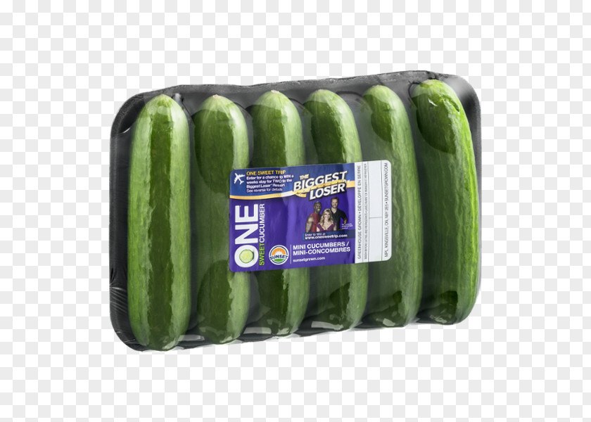 Cucumber Pickled Product Tray Sunset PNG