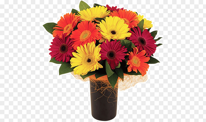Gerbera Floristry Flower Delivery Bouquet Transvaal Daisy PNG