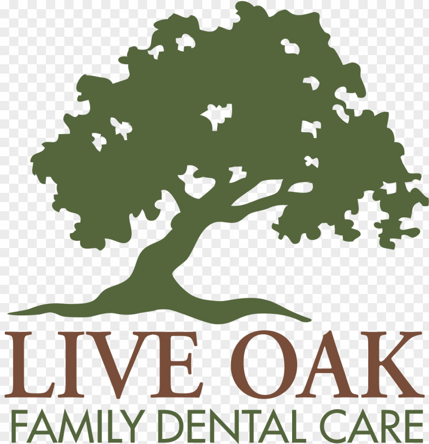 Live Oak Elementary Teachers Dentistry Safety Syringe Patient Village Oaks Dental PNG