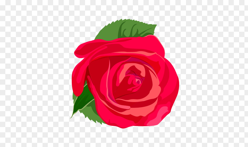 Red Rose Vector Flower Euclidean PNG
