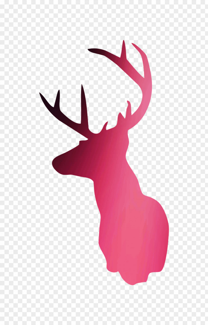 Reindeer Rudolph White-tailed Deer Clip Art PNG