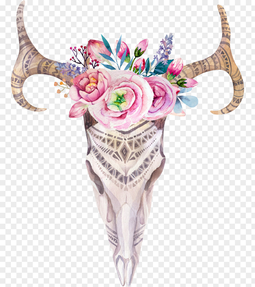 Skull Cattle Stock Photography IPhone 6 Drawing PNG