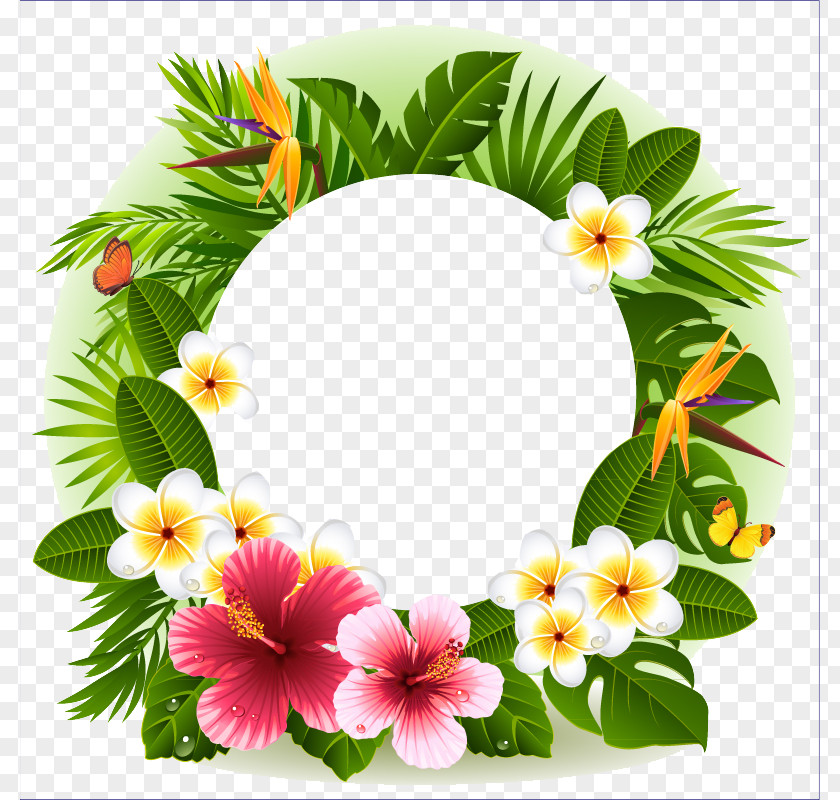 Tropical Flower Decorative Borders PNG