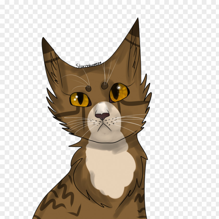 Cat Whiskers Tabby Wildcat Cartoon PNG