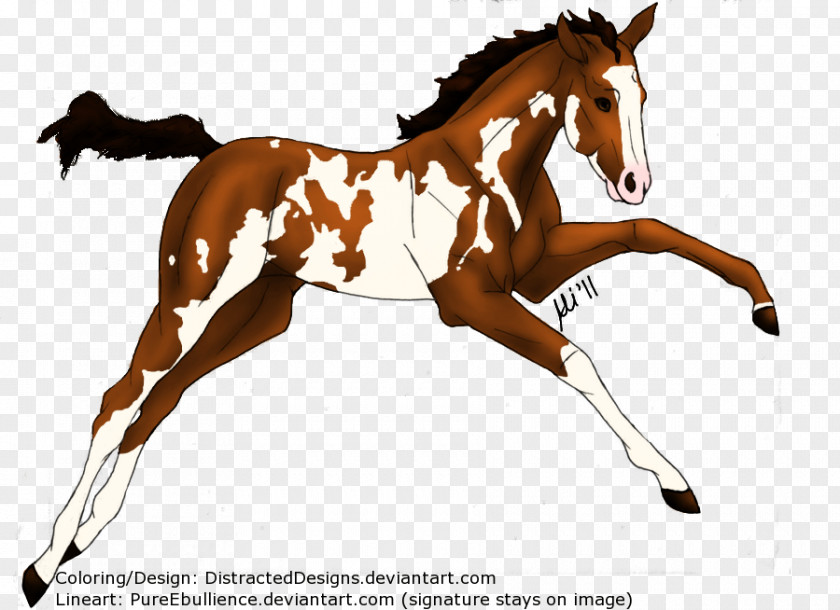 Chestnut Foals Mustang Pony Foal Mare Stallion PNG