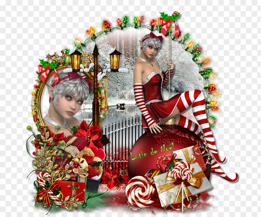 Christmas Ornament Tradition Flower PNG