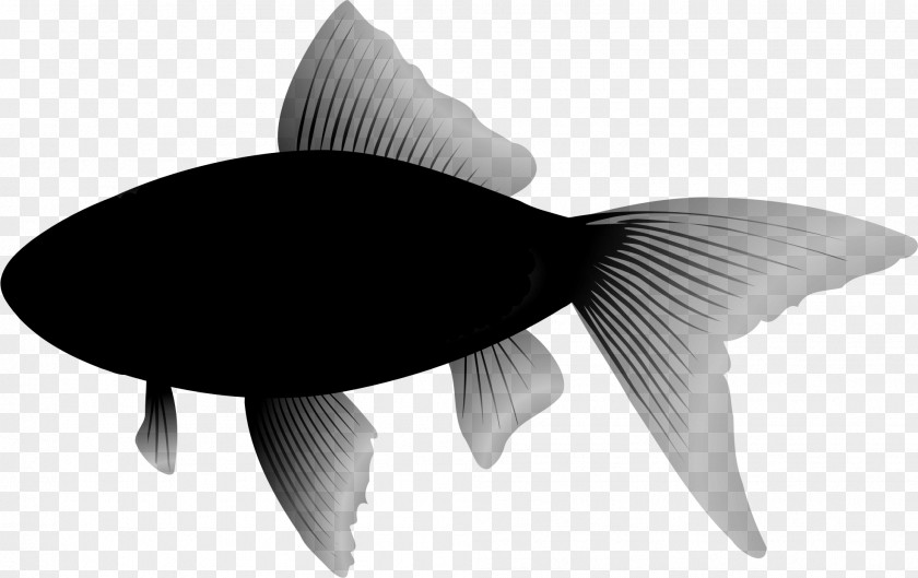 Clip Art Bluefish Image PNG