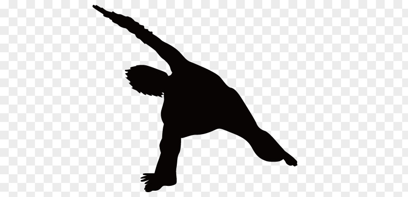 Fitness Silhouette Figures PNG