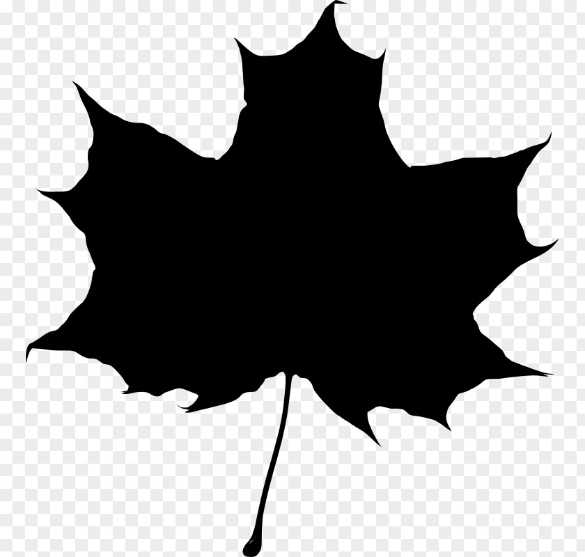 Silhouette Maple Leaf PNG