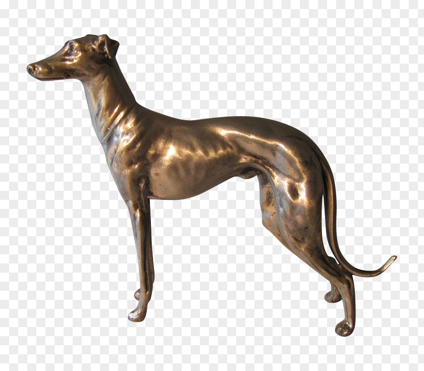 Silver Italian Greyhound Spanish Whippet Sloughi PNG