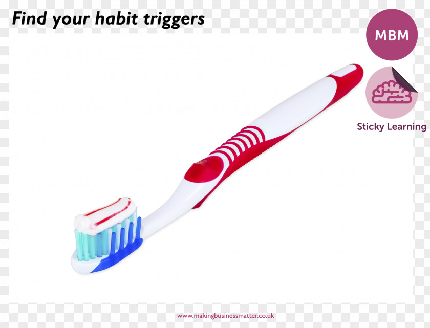 Toothbrush Toothpaste Photography PNG