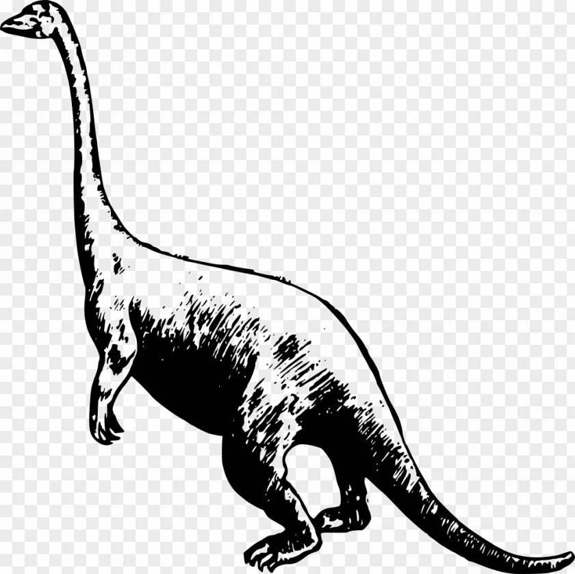 Dinosaur Tyrannosaurus Velociraptor Apatosaurus Triceratops Park PNG