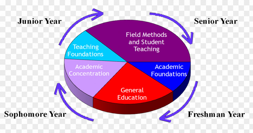 Early Childhood Education Brand Organization Diagram PNG