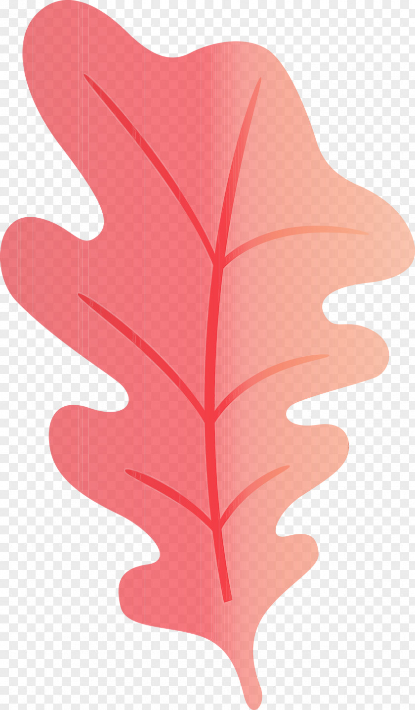 Leaf Flower Angle Line Tree PNG