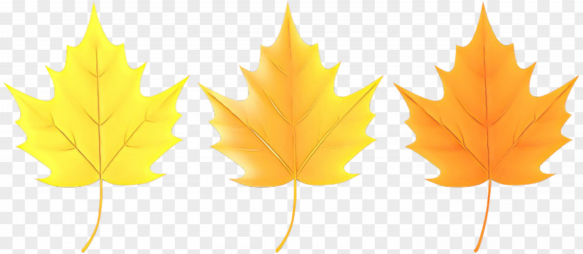 Maple Plane Leaf PNG