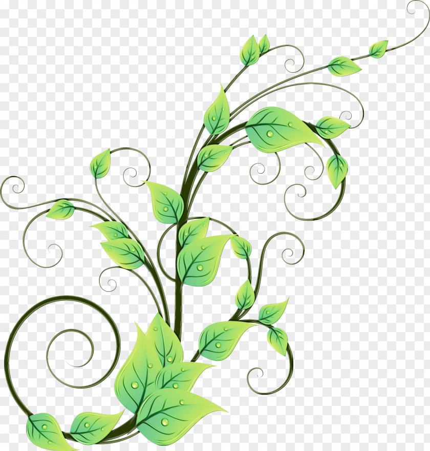 Pedicel Plant Stem Green Leaf Logo PNG