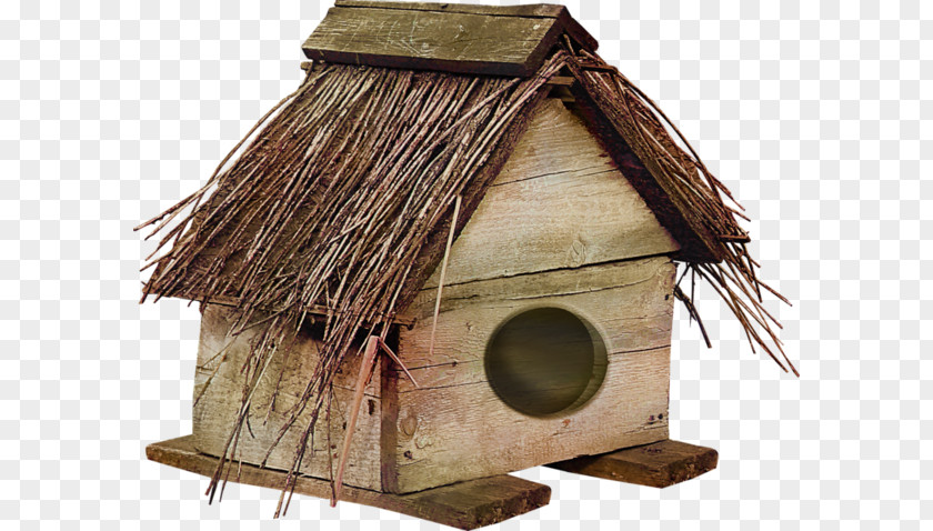 Pet House Download PNG