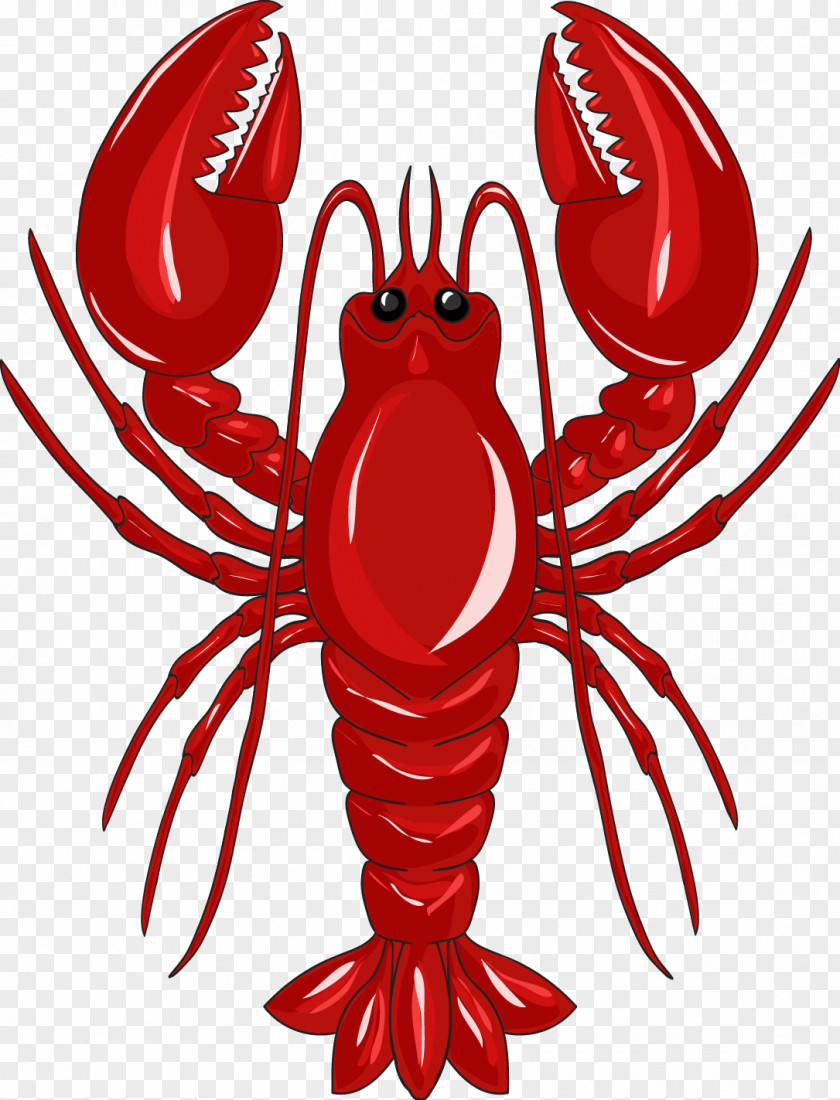 Vector Red Lobster Crab Clip Art PNG