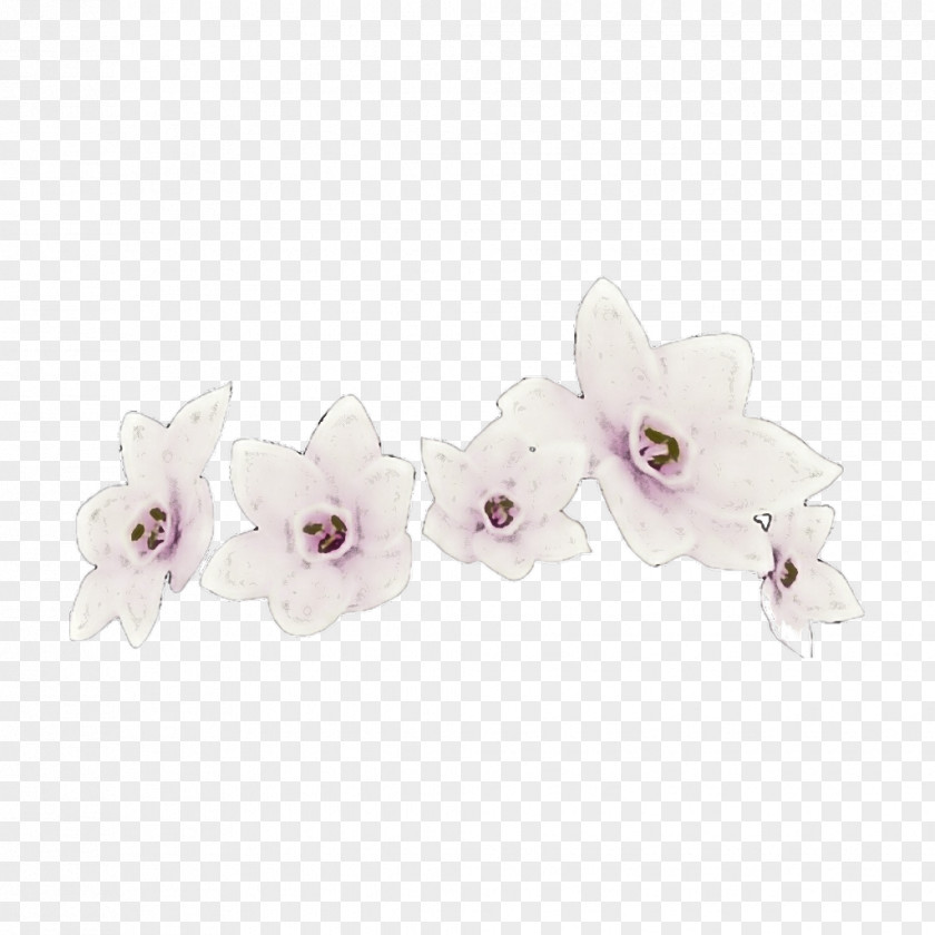 White Violet Pink Lilac Flower PNG