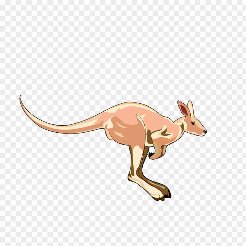 A Kangaroo That Jumps Up Clip Art PNG