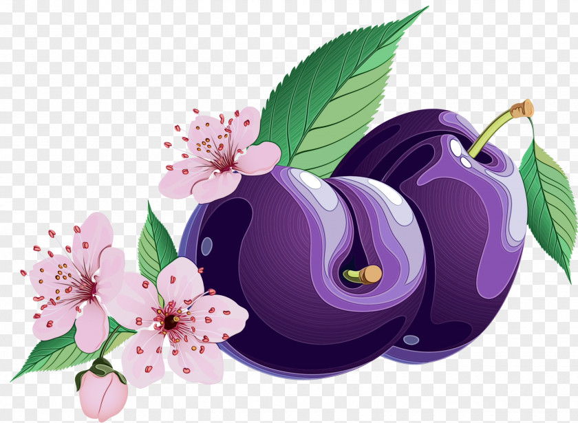 Fruit Petal Purple Watercolor Flower PNG